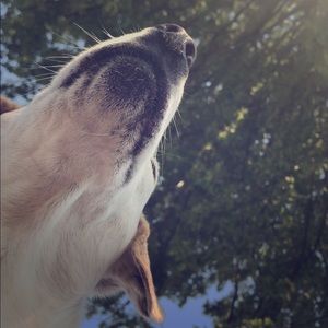 Meet your Posher, Mikki